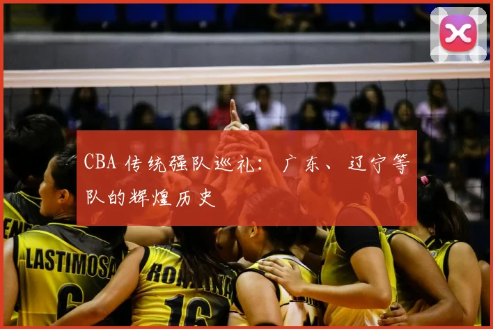 CBA 传统强队巡礼:广东、辽宁等队的辉煌历史