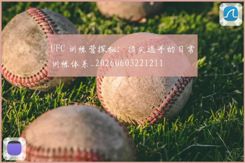 UFC 训练营探秘：顶尖选手的日常训练体系_20260603221211